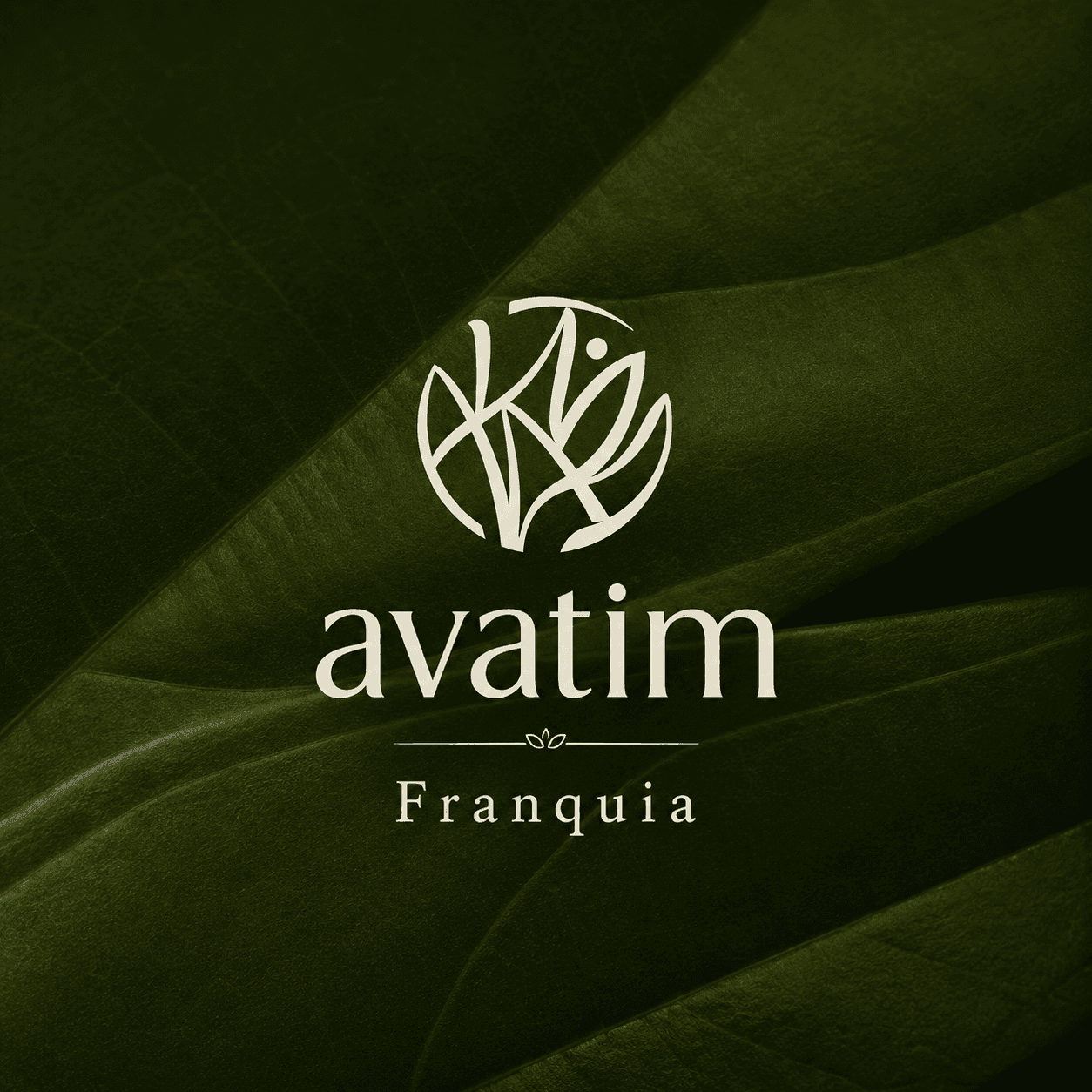 Avatim